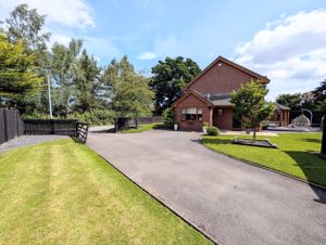 Photo 41- click for photo gallery